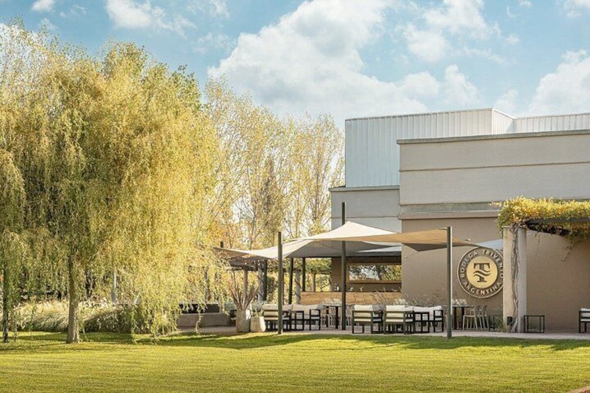 Trivento Winery Tour 5
