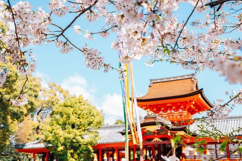 Tokyo: Kamakura, Enoshima or Yokohama Day Trip with Enoden Tram 3