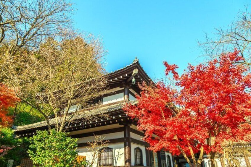 Kamakura & Enoshima / Yokohama Tour from Tokyo with Enoden Train 4