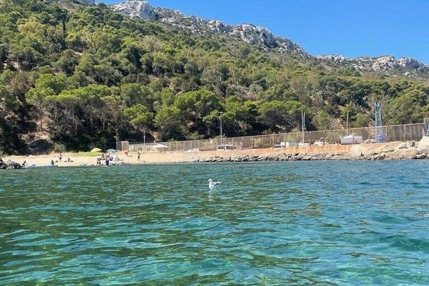 A clear blue sea, a sandy beach, and a forested hill. 4