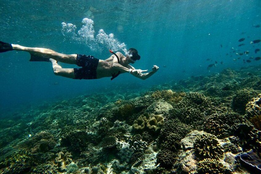 From Sanur or Ubud: Snorkeling at Blue Lagoon by Group Transfers 2
