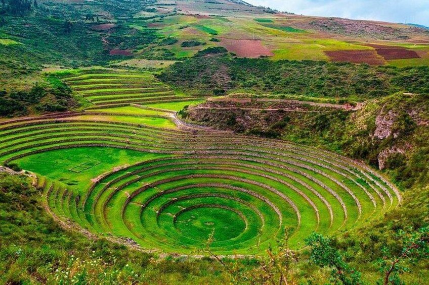 Terraced agricultural fields in a hilly landscape. 3