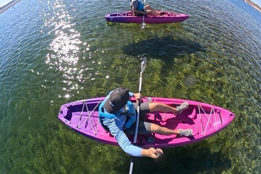 Lake Pleasant Sunrise Kayak Tour Near Phoenix 2