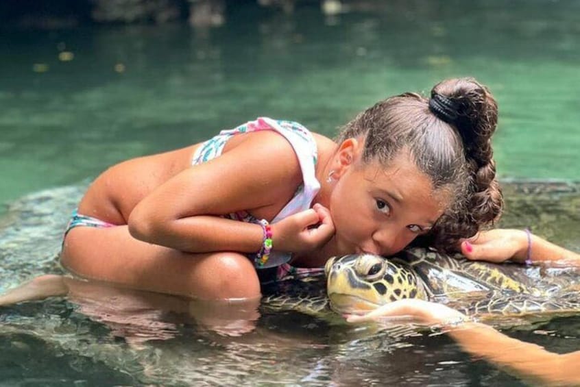 A person in a swimsuit interacting with a turtle in clear water. 4