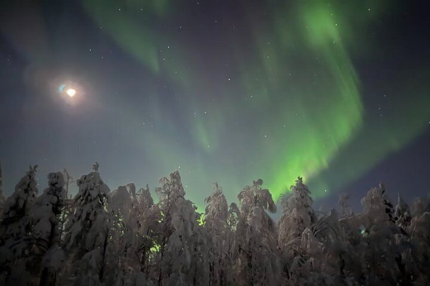 Las auroras boreales sobre un bosque nevado. 3