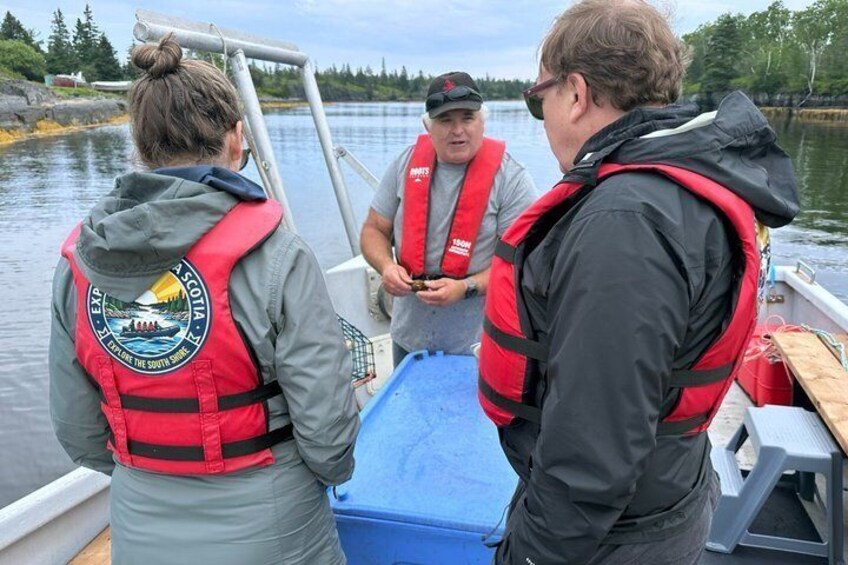 Lobsters & Legacy: An Authentic Lunenburg Experience 3