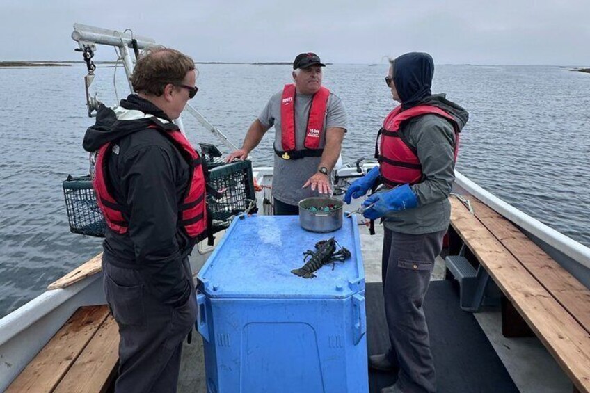 Lobsters & Legacy: An Authentic Lunenburg Experience 2
