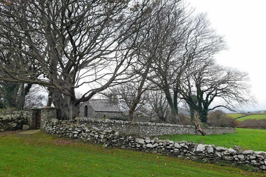 A stone wall, a large leafless tree, and a building in a rural setting. 2