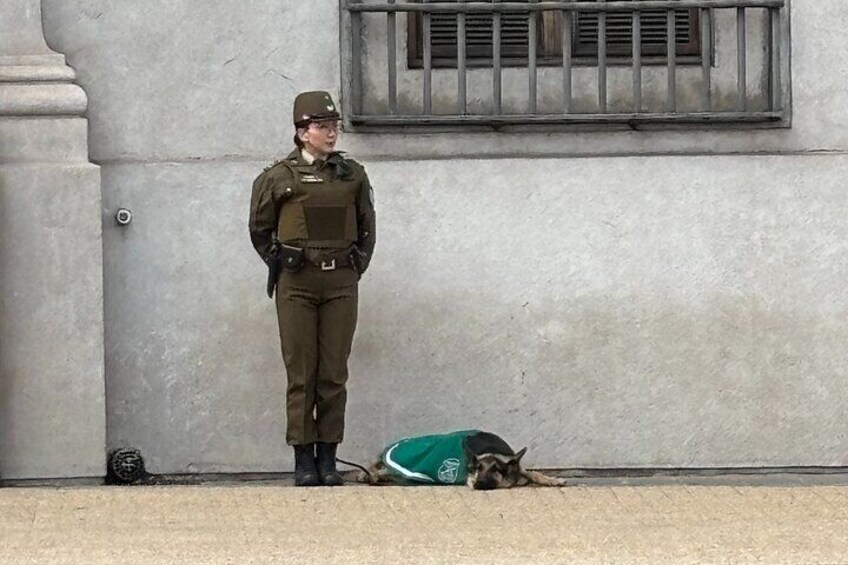 A person in uniform standing next to a dog wearing a green vest. 5