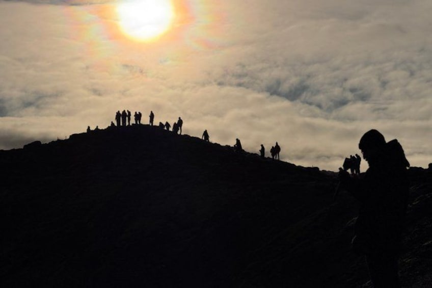Golden Circle Tour & Meet the Icelandic Horses from Reykjavik 5