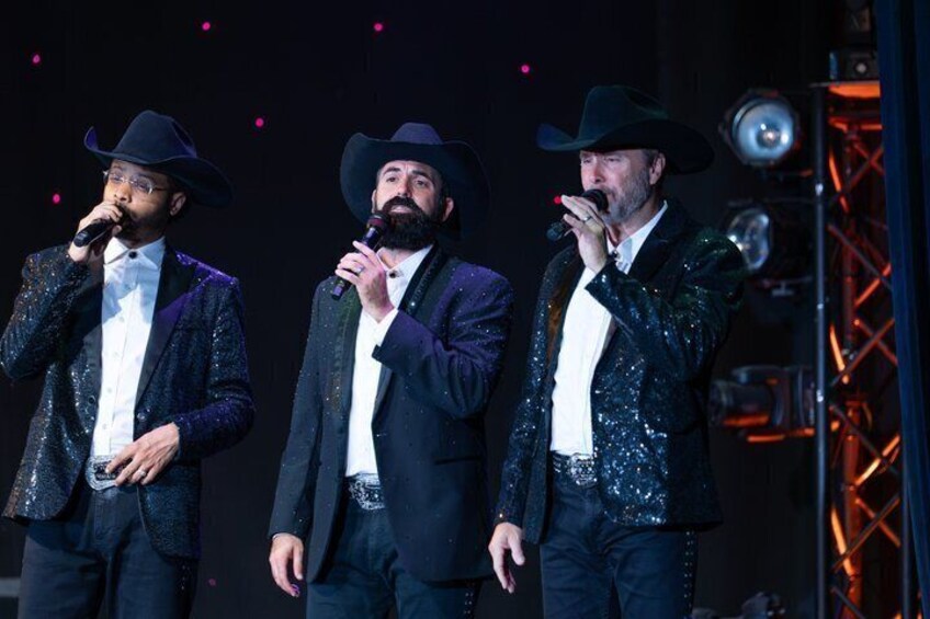 Mountain Melodies, Pigeon Forge, TN 5