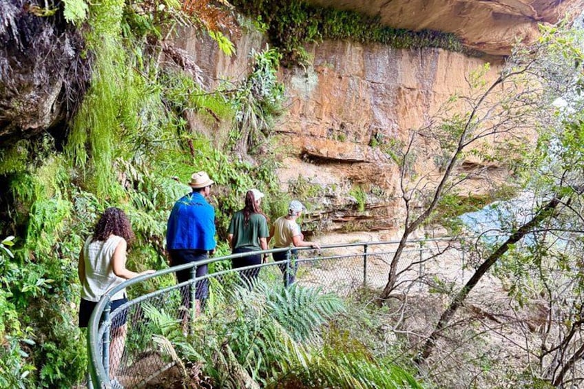 Blue Mountains Small Group Bushwalk and Wildlife Tour From Sydney 4