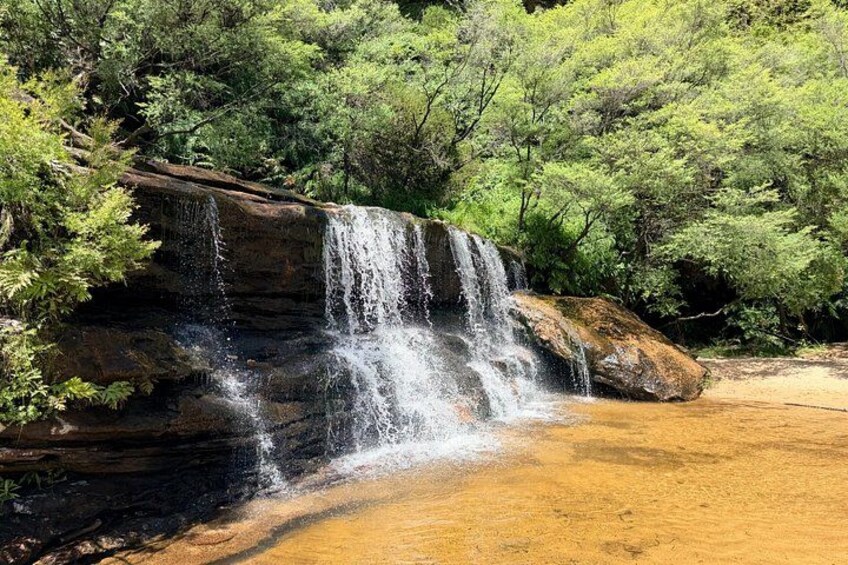 Blue Mountains Small Group Bushwalk and Wildlife Tour From Sydney 3