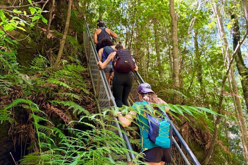 Blue Mountains Small Group Bushwalk and Wildlife Tour From Sydney 4