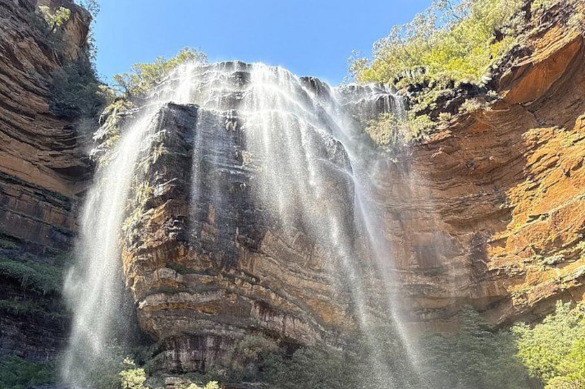 Blue Mountains Small Group Bushwalk and Wildlife Tour From Sydney 2