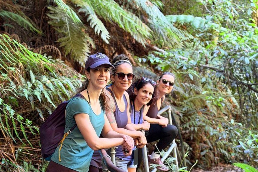 Blue Mountains Small Group Bushwalk and Wildlife Tour From Sydney 5