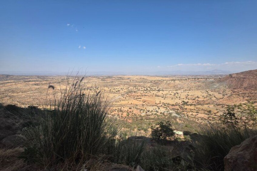 A vast desert landscape with sparse vegetation and distant mountains. 3