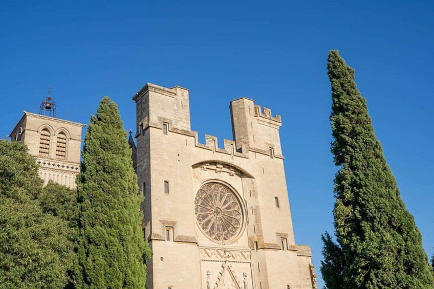 A historic tower with a clock, surrounded by tall trees. 4