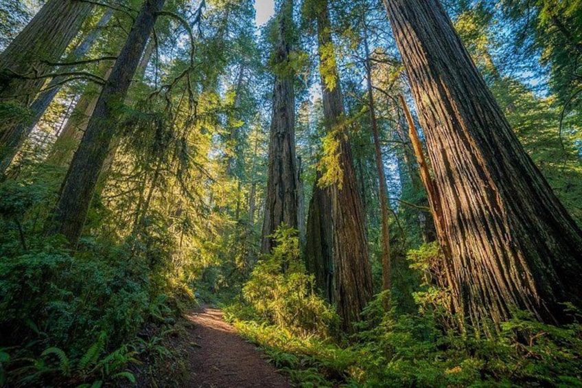 US West National Parks Driving and Walking Audio Tour Bundle 2