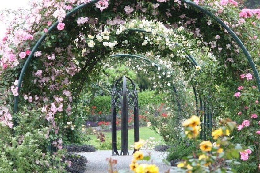 A garden with a metal archway covered in pink and white flowers, leading to a gate. 1