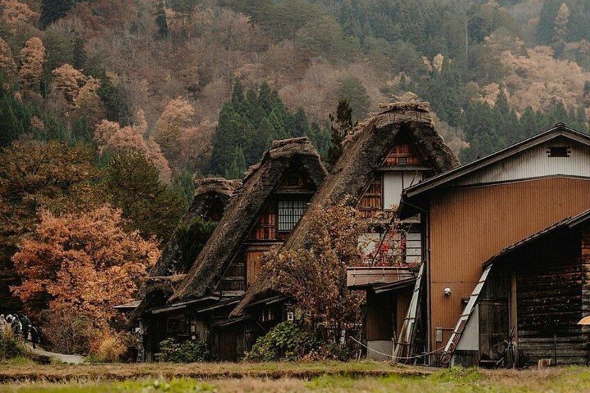 Shirakawago and Kanazawa Tour from Tokyo by Private Car 1