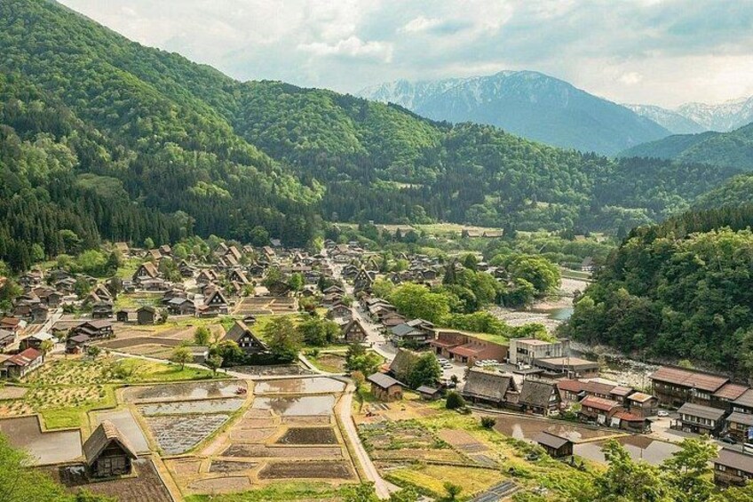 Shirakawago and Kanazawa Tour from Tokyo by Private Car 3