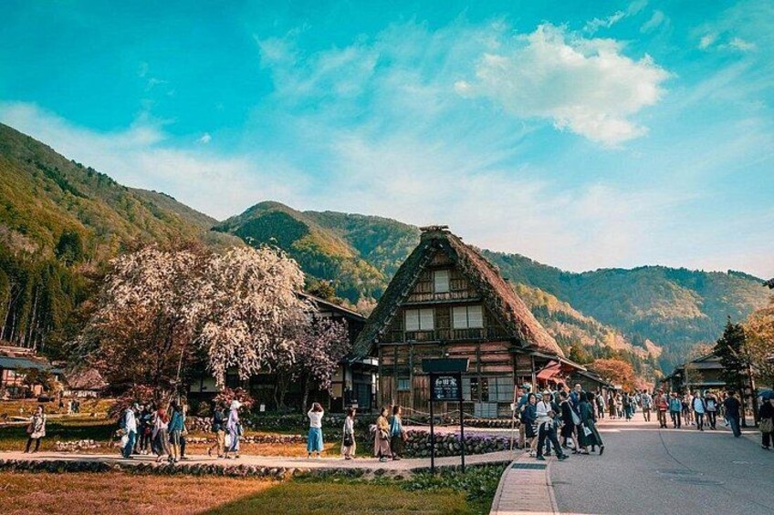 Shirakawago and Kanazawa Tour from Tokyo by Private Car 4