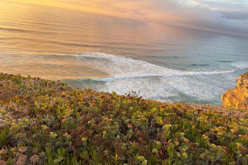 Un paisaje costero con olas, terreno rocoso y vegetación propia de la costa. 3