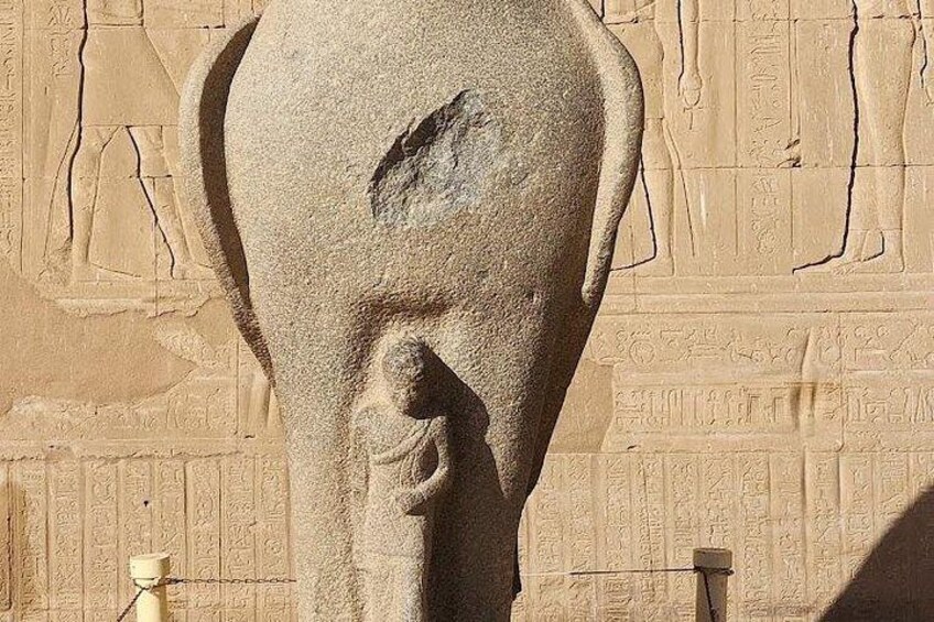 Edfu and Kom Ombo Private Day Tour from Aswan | Guide and Tickets 4