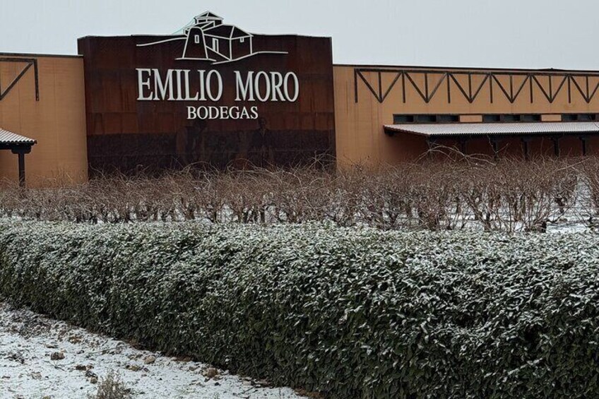 A sign for Emilio Moro Bodegas with a snow-covered hedge in the foreground. 1