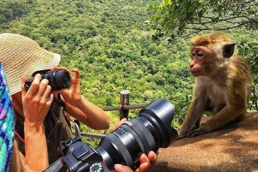 A person taking a photograph with a camera, a monkey sitting on a ledge, and a lush green forest in the background. 2