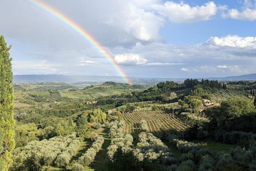 Chianti Classico Black Rooster Private Wine Tour from Cortona 3