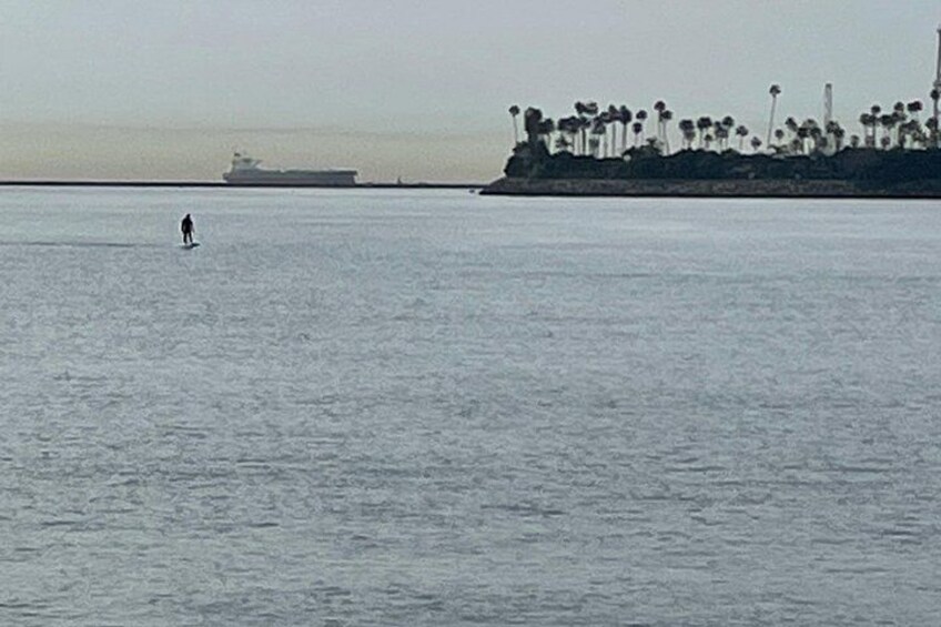 A calm sea with a person surfing, a large ship in the distance, and a coastal area with palm trees. 2
