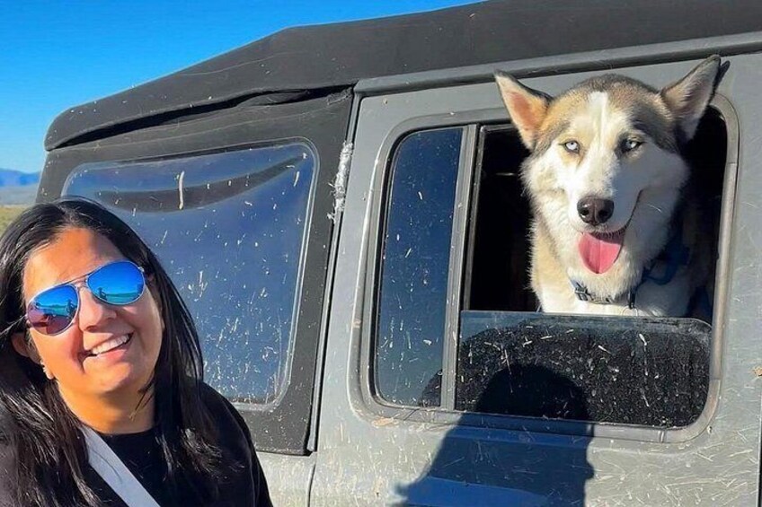 Een persoon en een hond in een voertuig, met een heldere lucht. 1