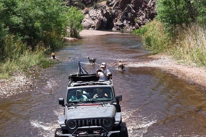 Private Jeep Off Road Adventure in Arizona Desert with Huskies 4