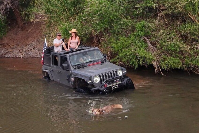 Private Jeep Off Road Adventure in Arizona Desert with Huskies 5