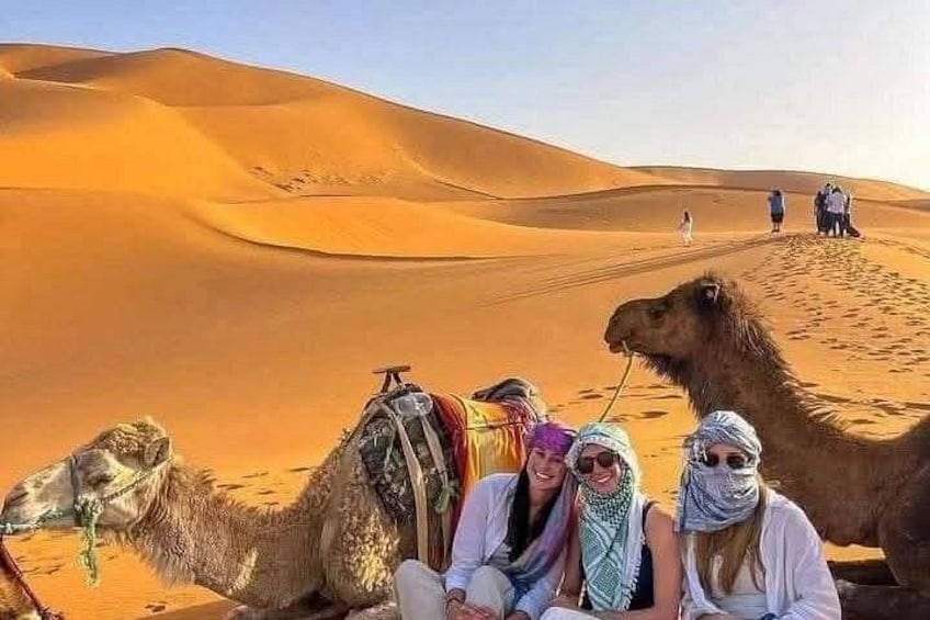 A desert landscape with sand dunes and camels. 1
