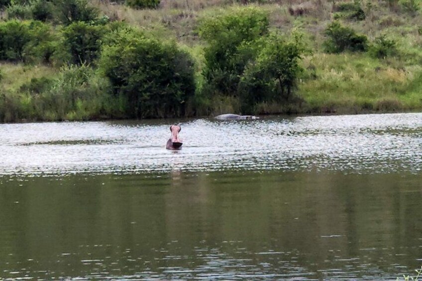 A person wading through a river surrounded by greenery. 3