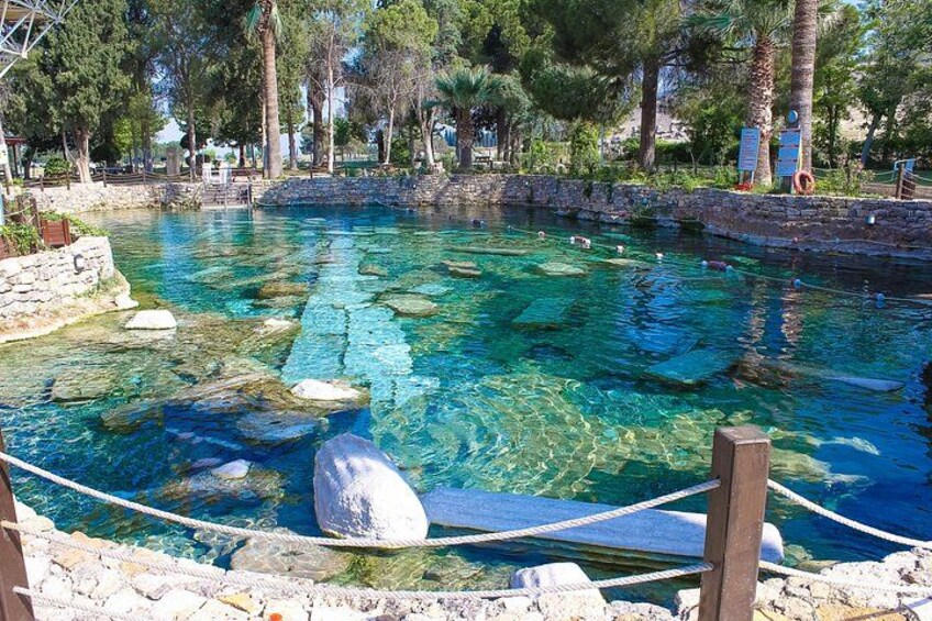A clear pool with rocks, surrounded by trees and a stone wall. 4
