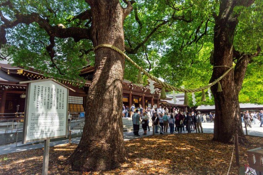 A traditional Japanese temple with large trees, a crowd of people, and a signboard. 4