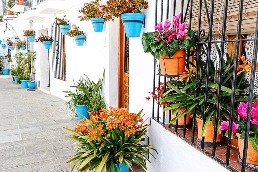 MIJAS 2 4