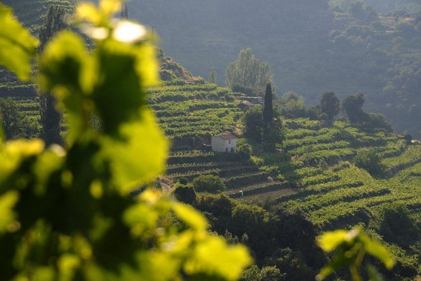 Manolates Hiking with Bus Transfer included 1
