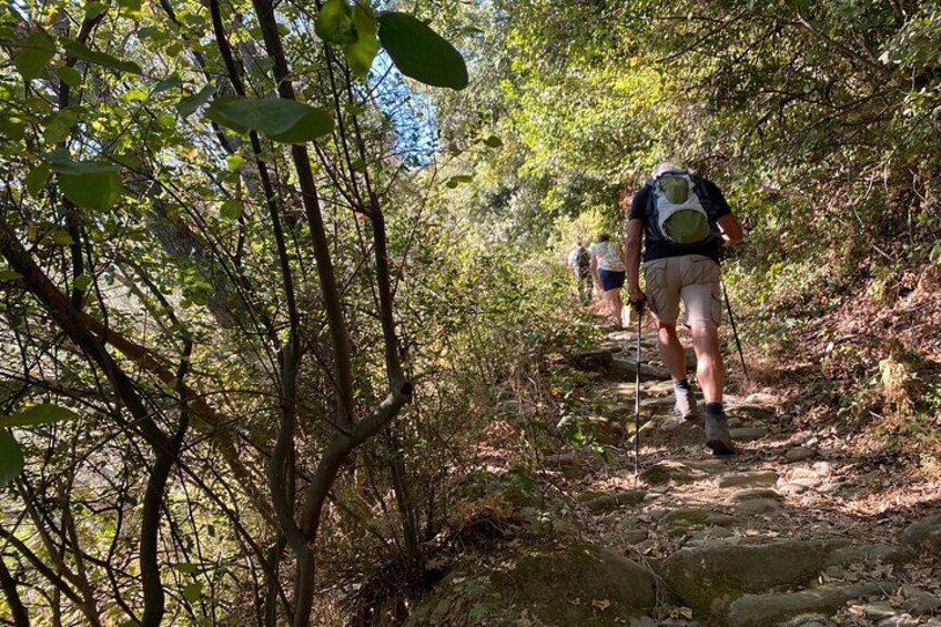 Manolates Hiking with Bus Transfer included 3