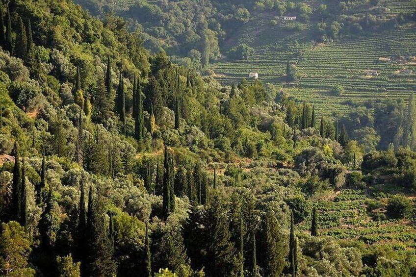 Manolates Hiking with Bus Transfer 3