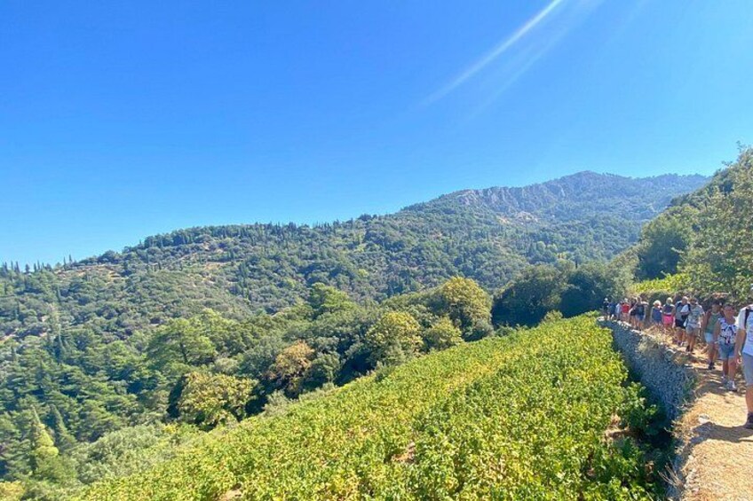 Manolates Hiking with Bus Transfer included 3