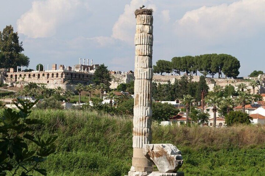 An ancient column in a grassy area with ruins and trees in the background. 4