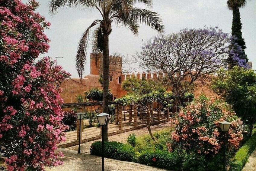 A garden with flowering trees, a palm tree, and a building with a tower. 2