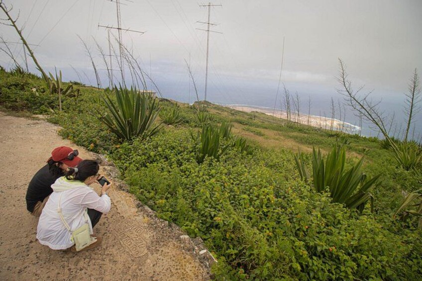 Sao Vicente Full Day Guided Tour with Seaside Lunch 5