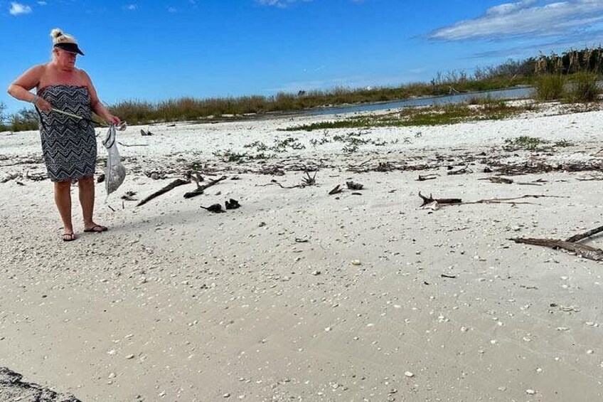 We also offer private shelling tours. 5