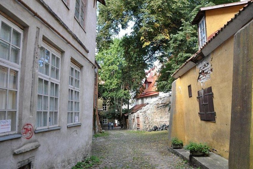 A narrow cobblestone street flanked by historic buildings with large windows and a tree-lined path. 5
